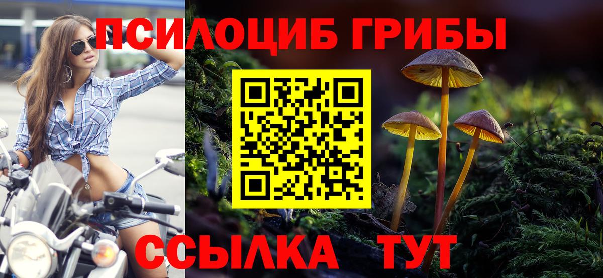 Псилоцибиновые грибы Magic Shrooms Усть-Джегута