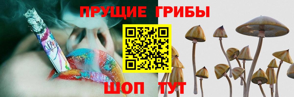 Усть-Джегута  Псилоцибиновые грибы Magic Shrooms  Вход с VPN 